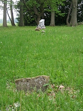 This photo within the New Boston cemetary shows remaining fragments of a few tombstones. A few yards away from the broken tombstone in the foreground is an early 20th-century marker that replaced an earlier marker.  The inscription is hard to read, but it may say: John Forgy Sr., Died 1800. Click to see a bigger photo.